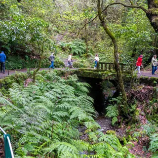 O percurso até ao Miradouro dos Balcões é um dos mais procurados pelos turistas que visitam a Madeira.&nbsp;