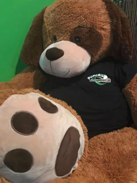 A nossa mascote, o ‘Ponchas’
