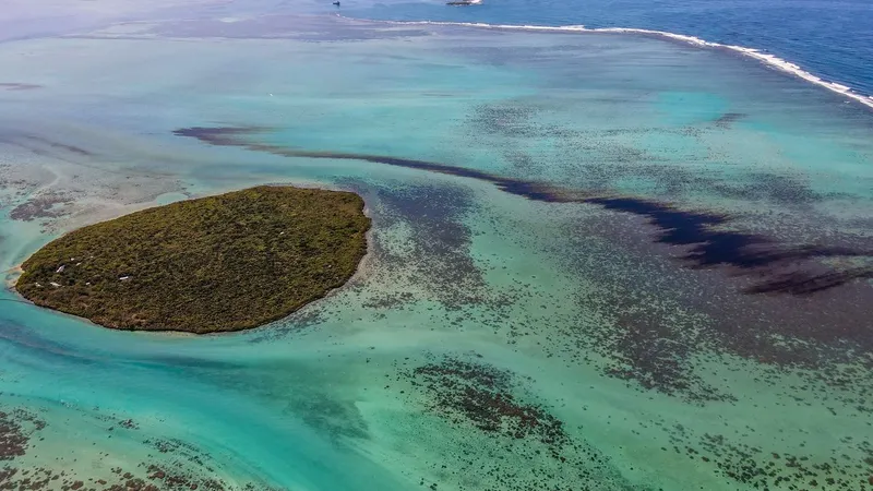 Derrame de petróleo na costa das Ilhas Maurícias em Agosto do ano passado.
