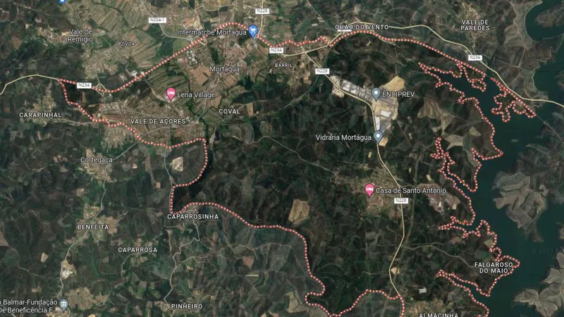 Foto Google Maps