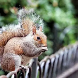 5. Viagem com crianças para Londres - Pense em tudo aquilo que gosta na capital inglesa e pense o quão divertido será fazer todas essas actividades com as crianças em Londres. Por exemplo, alimentar os esquilos no Hyde Park, assistir ao render da Guarda da Rainha, tirar fotografias de família em Abbey Road e muitos mais. Todas estas são actividades grátis para fazer em Londres, ou seja, não precisa de gastar muito dinheiro para os entreter na capital inglesa.